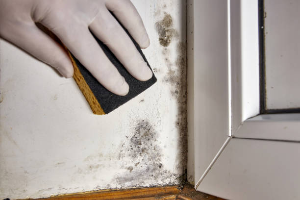 Best Water damage restoration near me  in Hurst, TX